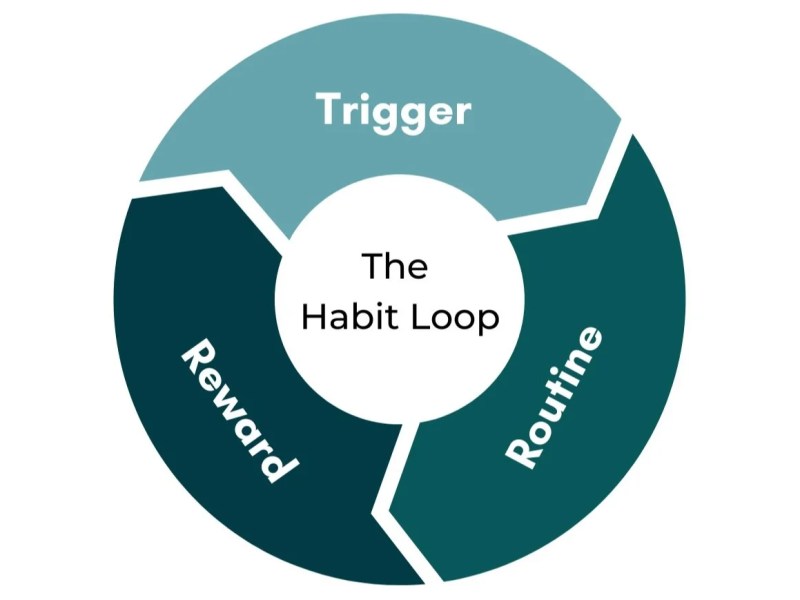 The Architecture of Habit: How Brands Move from “Ads” to “Automatic Behavior”